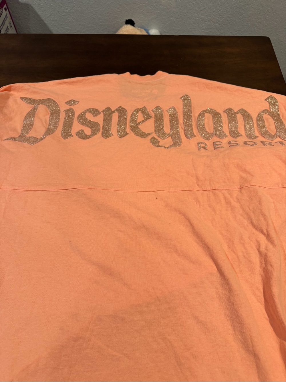 Disneyland Rose Gold Spirit Jersey